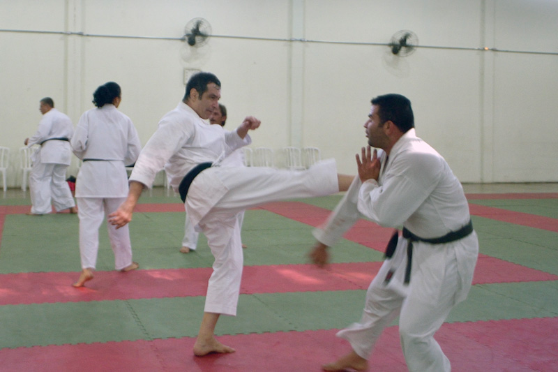 Minha Experiência no Curso de Instrutores da Escola de Karate-Do do Brasil